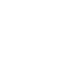 Neue Maison