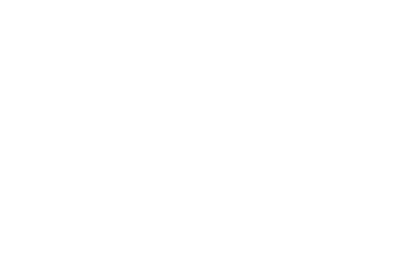 The Shade Store